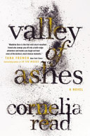 Valley of Ashes (Madeline Dare, #4)