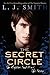 The Captive, Part II and The Power (The Secret Circle, #2-3)