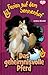 Das geheimnisvolle Pferd (Ferien auf dem Sonnenhof, #7)