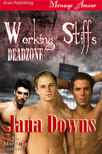 Working Stiffs (Deadzone #1)
