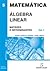 Álgebra Linear - Volume 1: Matrizes e Determinantes