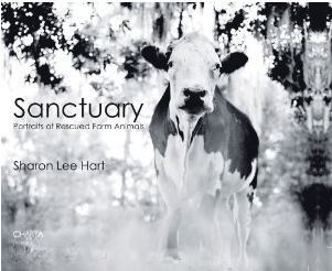Sanctuary: Portraits of Rescued Farm Animals