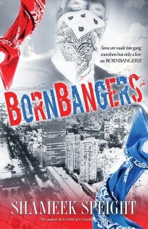 Bornbangers (Paperback)
