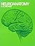 Neuroanatomy