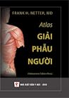Atlas Giải Phẫu N...