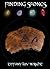 Finding Stones (Tales From ...