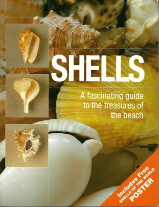 Shells: A Fascinating Guide to the Treasures of the Beach (Paperback)