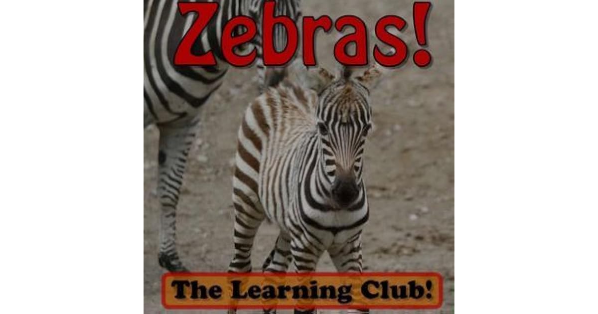 Zebras! Learn About Zebras And Learn To Read The Learning Club! by