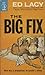 The Big Fix