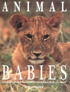 Animal Babies: A Habitat-By-Habitat Guide to How Wild Animals Grow