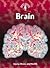Brain: Injury, Illness, and Health (Body Focus)
