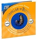 Caterpillar to Butterfly
