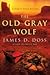 The Old Gray Wolf (Charlie Moon #17)