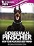 Doberman Pinscher by Camille DeClementi