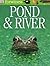 Pond And River