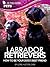 Labrador Retrievers: Guide to Being Your Dog's Best Friend