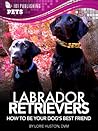 Labrador Retrievers: Guide to Being Your Dog's Best Friend