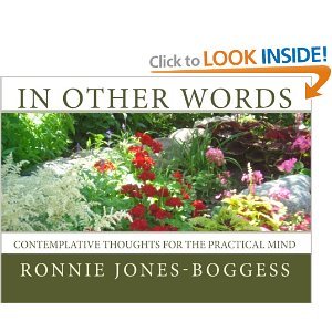 In Other Words: Contemplative Thoughts for the Practical Mind