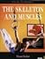 The Skeleton And Muscles (Our Bodies)