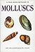A Field Guide in Colour to Molluscs