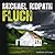 Fluch (Fire & Ice, #1)