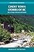 Ghost Town Stories of BC: Abandoned Dreams in the Shadows of the Canadian Rockies (Amazing Stories)