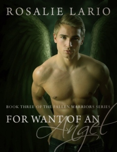 For Want of an Angel (The Fallen Warriors #3)