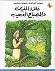 علاء الدين والمصباح العجيب