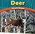 Deer: Graceful Grazers (Wild World of Animals)
