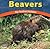 Beavers: Big-Toothed Builders (Wild World of Animals)