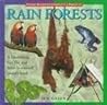 Rain Forests (Young Scientist Concepts & Projects)