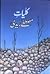 Kuliyat e Mustafa Zaidi by Mustafa Zaidi