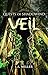 Quests of Shadowind: Veil (Young Adult Series - Book 3)
