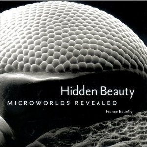 Hidden Beauty: Microworlds Revealed