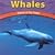 Whales: Giants of the Deep (Wild World of Animals)