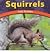 Squirrels: Furry Scurriers (Wild World of Animals)