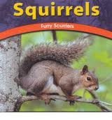 Squirrels: Furry Scurriers (Wild World of Animals)