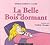 La Belle au Bois dormant by Claudie Stanke