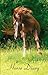 Horse Diary