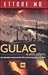 Gulag e altri inferni: un g...