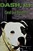 Dash, P.I.