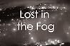 Lost in the Fog