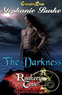 The Darkness (Rookery Cove #5)