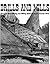 Drills And Mills: Precious Metal Mining and Milling Methods of the Frontier West