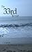 The 33rd Year: A Novel