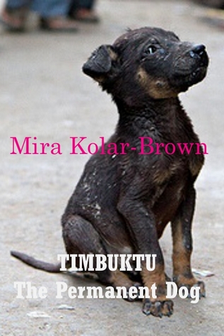 Timbuktu, The Permanent Dog