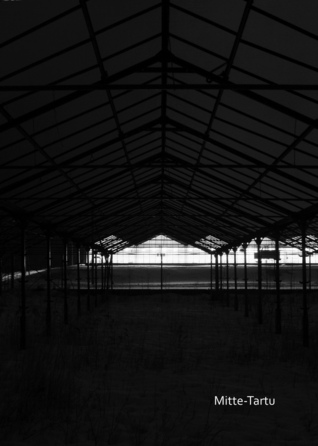 Mitte-Tartu (Hardcover)