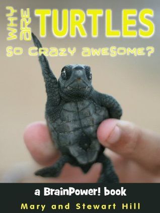 Why Are Turtles So Crazy Awesome?