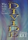 The Divide