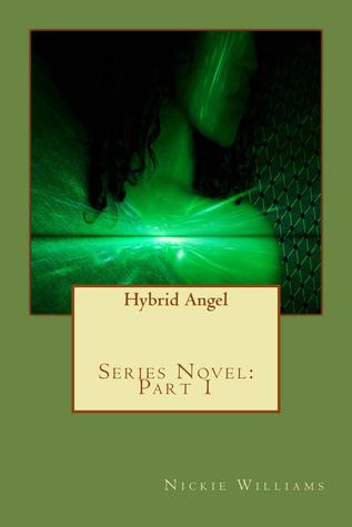 Hybrid Angel, Vol. 1